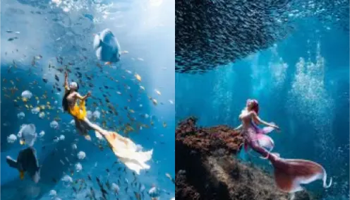 南沙群岛美人鱼