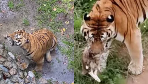 青海西宁野生动物园