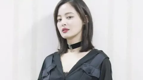 利摩日博物馆夜盗案