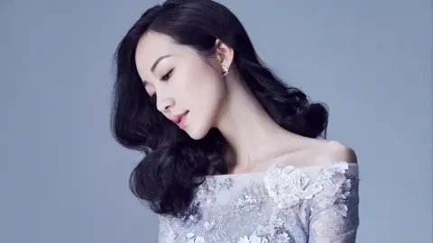 石平被制裁事实