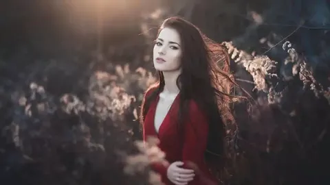 美国FSIS木刺召回解析