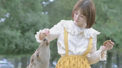 4岁女童餐厅滑梯摔伤赔偿纠纷