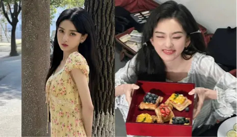 宋祖儿税务补缴271万事件