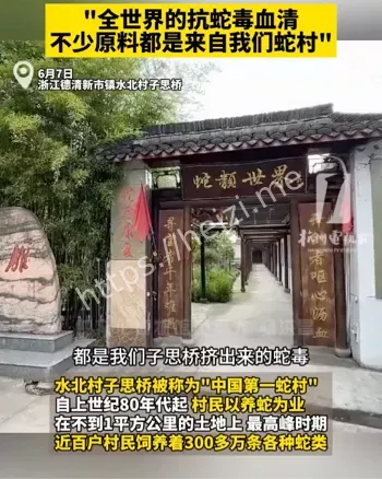 中国第一蛇村