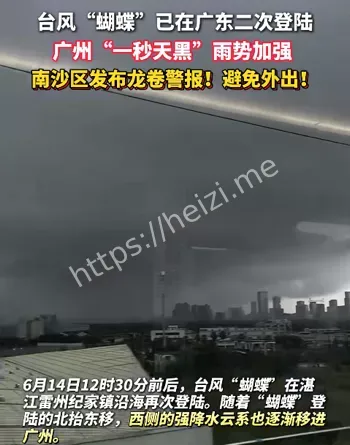 台风蝴蝶