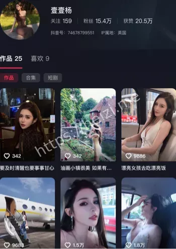 壹壹杨