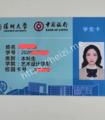 深圳大学