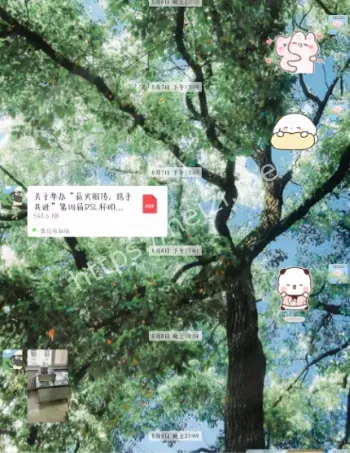 道德缺失