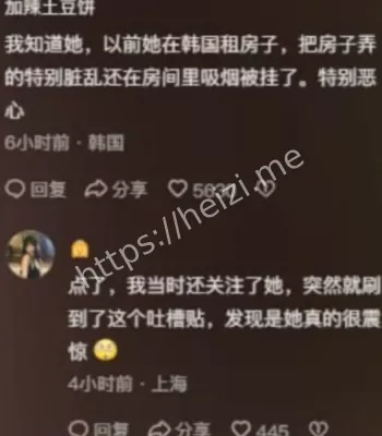 网红争议