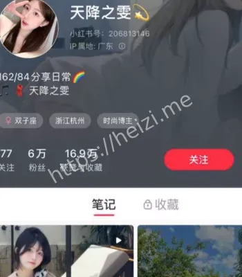 天降之雯