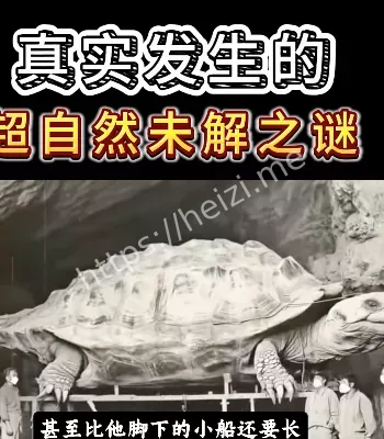 诡异事件