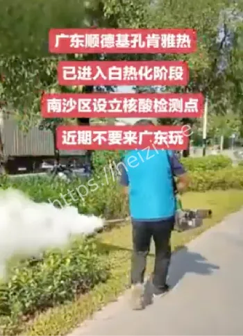 基孔肯亚热