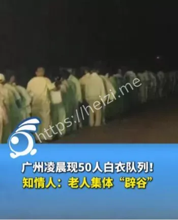 老人辟谷