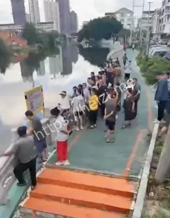 苍南钱库