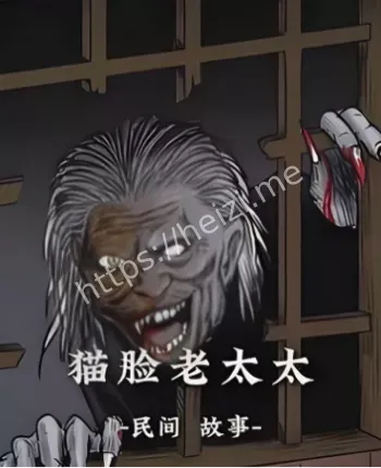 杀人失踪