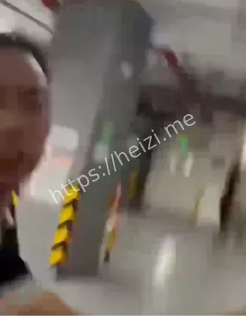 理想车主
