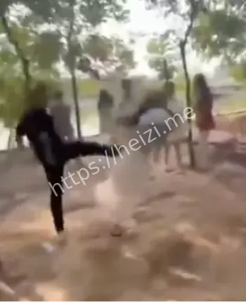 飞踢录视频