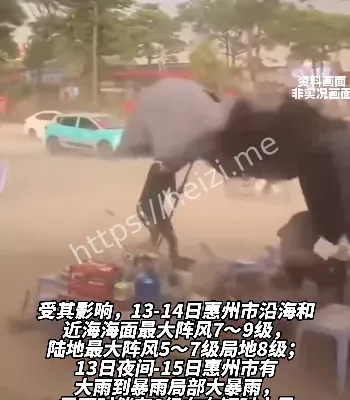 11级狂风