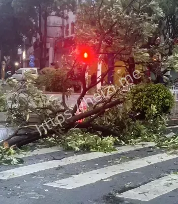 强降雨