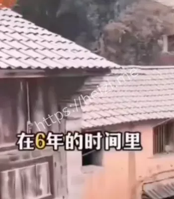 氰化物投毒