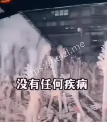 罗阳古村