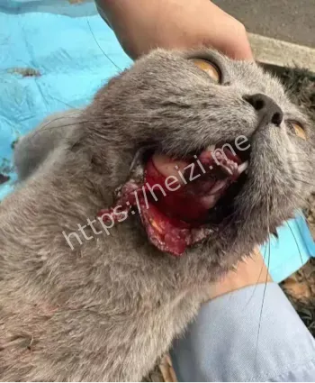 诡异事件