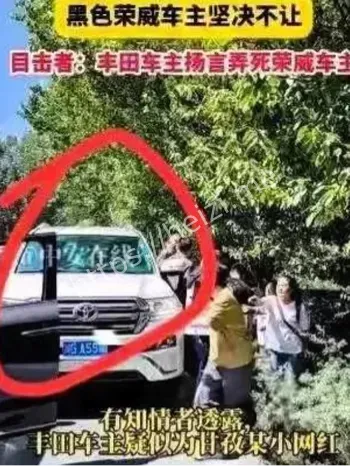 逆行插队