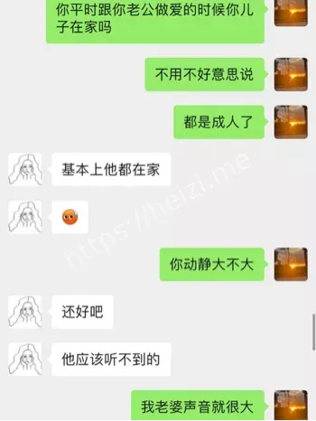录像流出