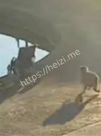 鱼塘安全隐患