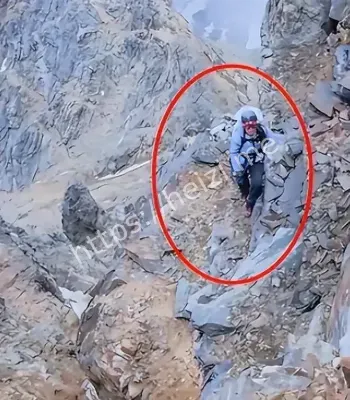 藏民抬下山收费6万后续