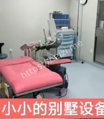 乡村别墅