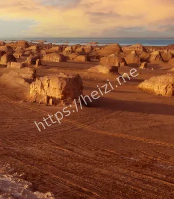 罗布泊午夜惊魂