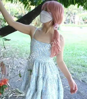 樱花小猫
