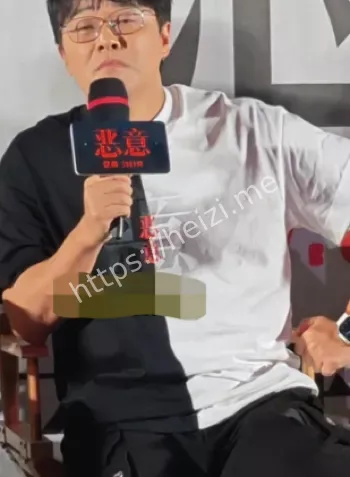 佟丽娅事业巅峰