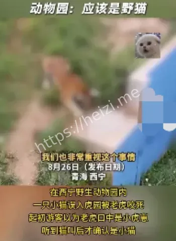 动物园管理漏洞