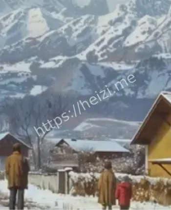 科西嘉岛