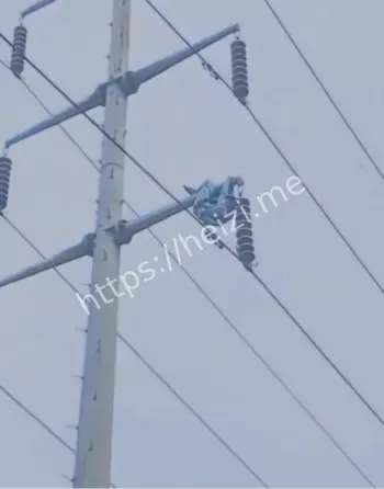 男子爬高压电杆