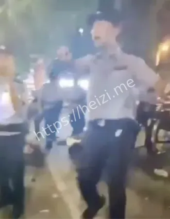 暴力执法