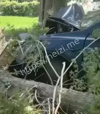 特斯拉