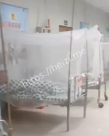 蚊媒传播