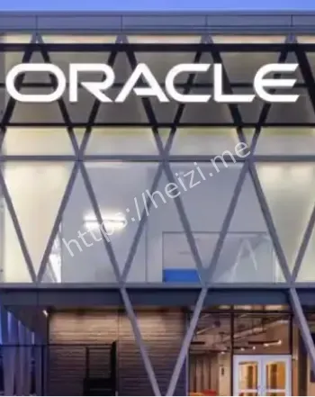 甲骨文公司简介