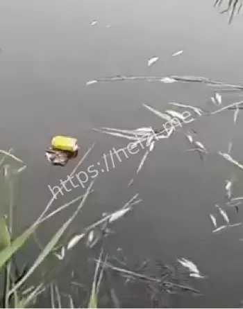 酒店订房隐私泄露