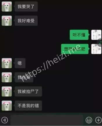 吉他张索菲亚事件