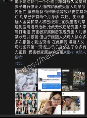 孟村8·22杀妻案深度解析