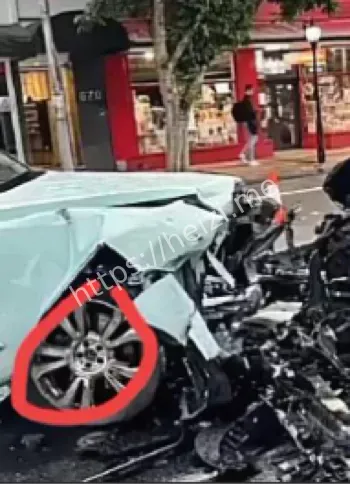 杨兰兰保释条件为零