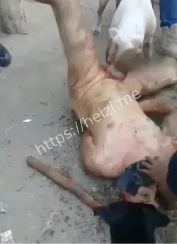 自卫组织与替代正义分析