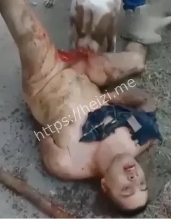 墨西哥网传黑帮私刑核查