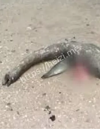 苏格兰尼斯湖模糊照片