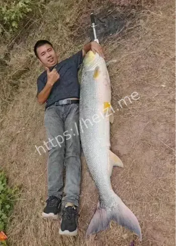 重庆涪陵79斤鳡鱼事件