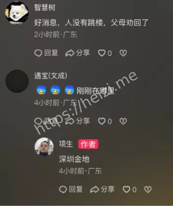 深圳龙岗金地